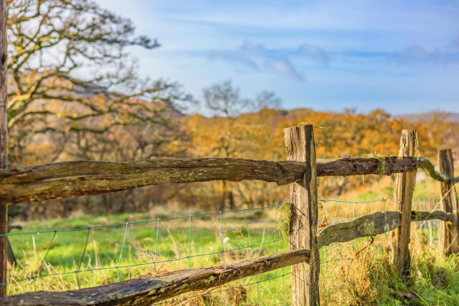 Pandy Farmhouse - Panoramic Mountain Views Within Snowdonia'S National Park - 4X4 Recommended Dolgellau Eksteriør billede